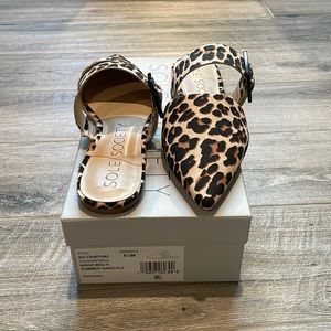 Sole Society Tanitha Leopard Print Calfhair Mule BRAND NEW Size 8.5